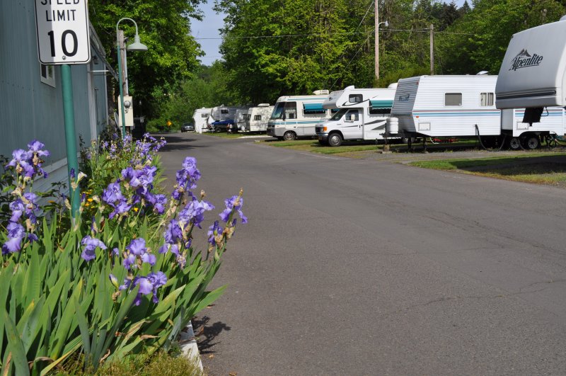 Park entrance with irises blooming beside speed limit sign