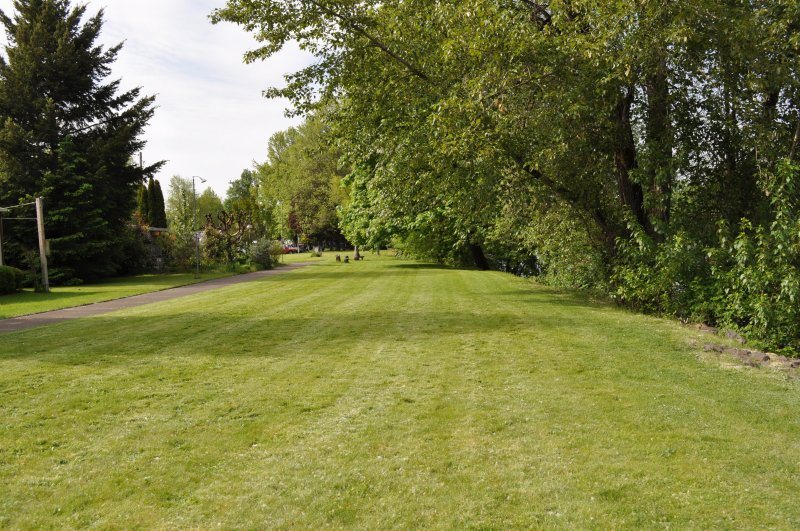 Wide green lawn with mature trees leading to river at Shamrock