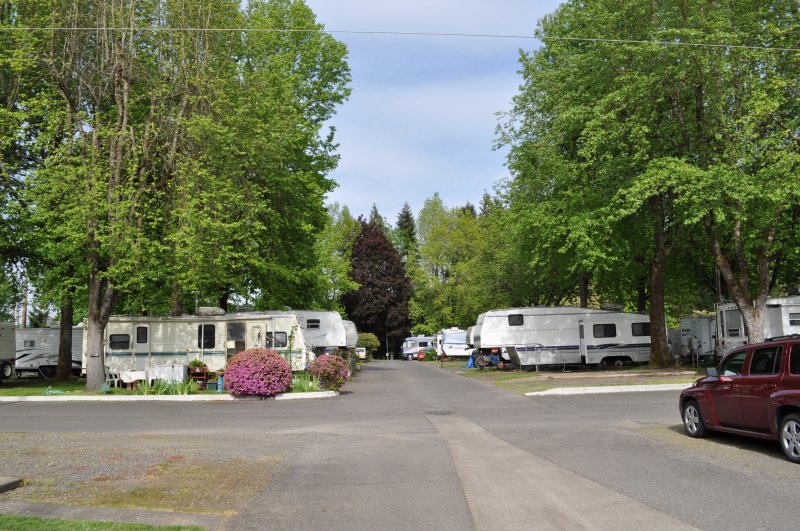 Mobile home lane with spring blooms and flowering trees