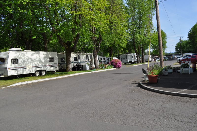 RV sites lined with trees and flower planters