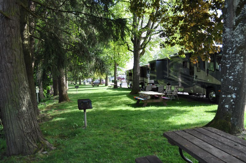 Spacious RV site with picnic table and shade trees