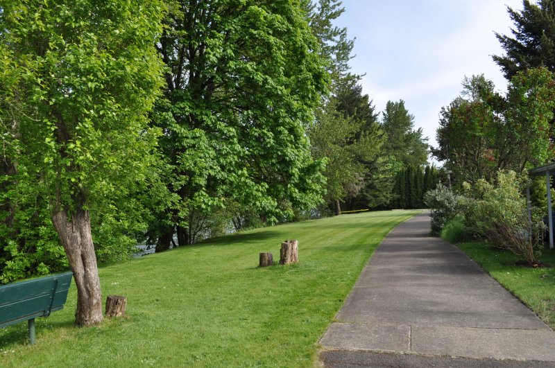 Scenic tree-lined walkway along the river at Shamrock RV Village